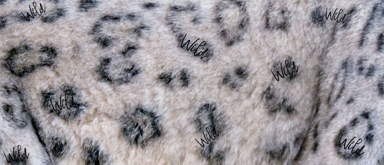 snow leopard camouflage snow leopard camouflage