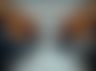 Estrategias Efectivas para tu Mejora Profesional en México