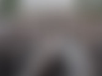 What is bamboo forestry?