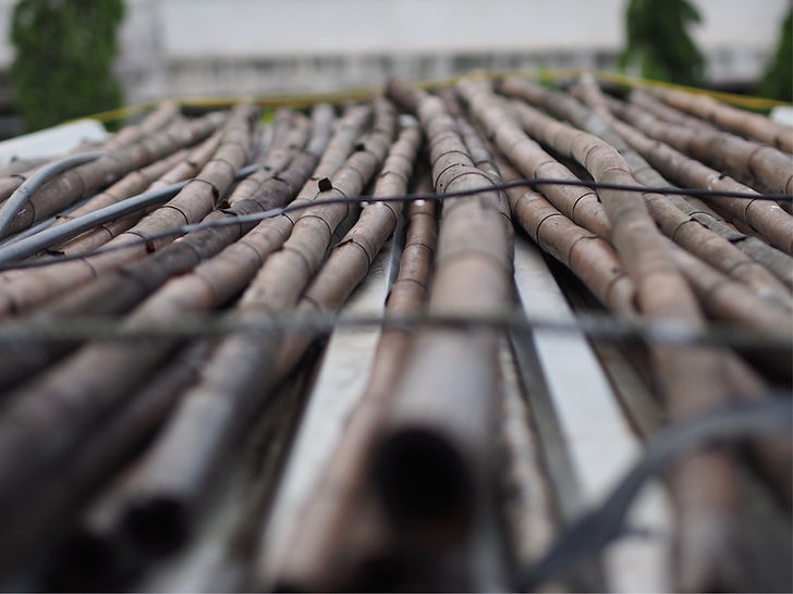pile of harvested bamboo
