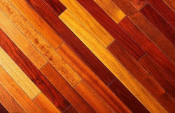 MultiColorWood