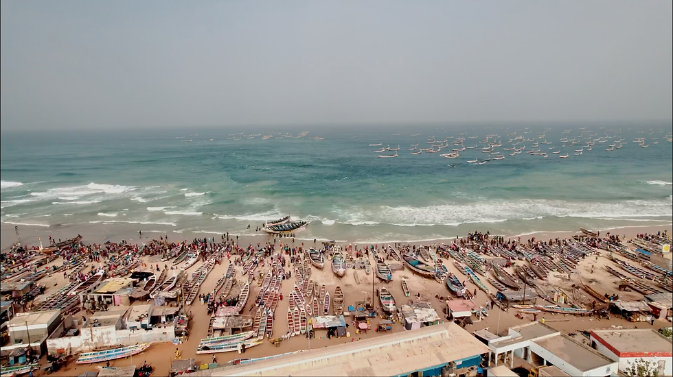 Photos HD Site Internet DEM-DEM 2.png