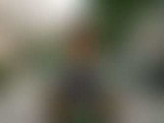 CLT ou PJ: o que vale mais a pena hoje?