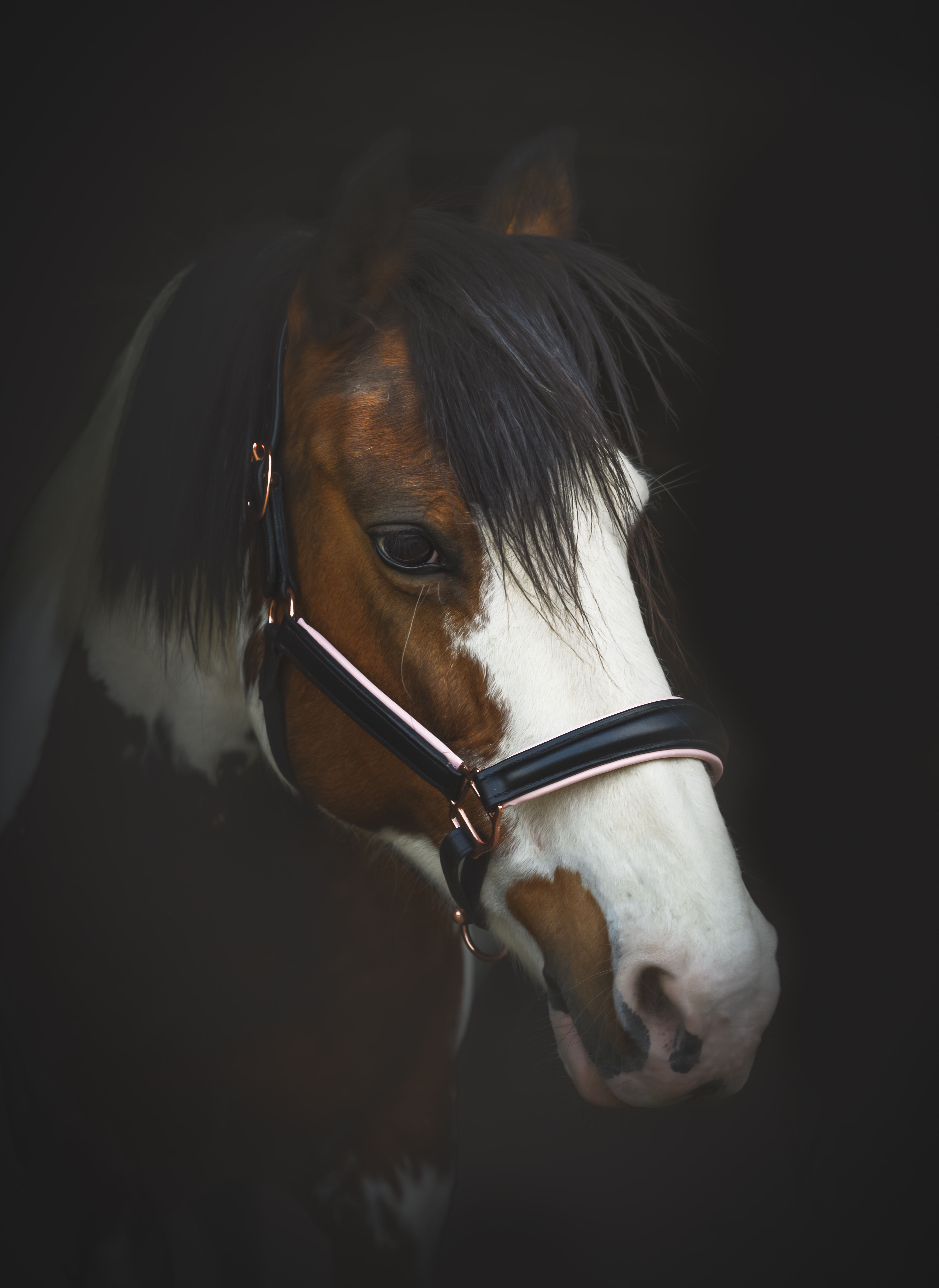 Pink Snake Skin Leather Anatomical Headcollar
