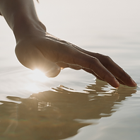 Untitled design (59).png