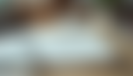 Master the Steps to Cultivate a Growth Mindset: Strategies for Lasting Change