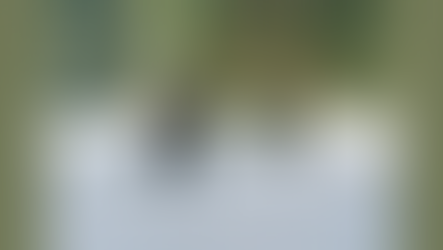 Are You Chasing Bigfoot? How the Search for the 'Perfect Life' Creates Chaos