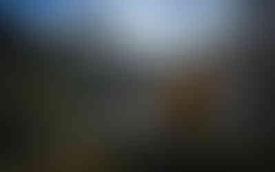 Among The Ancient Stone