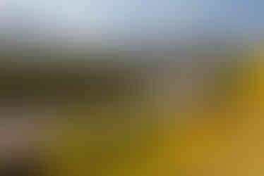 Snaking Through Fall