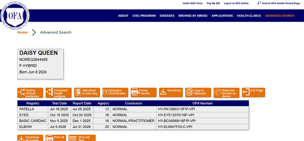 Screenshot 2026-08-23 141626.png