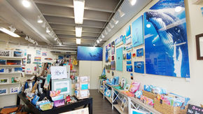 Waimea Blue Art Gallery & Ocean Boutique in North Shore