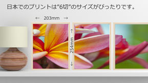 3分割ネイチャー写真:高画質ダウンロードファイル
