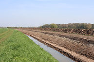 2S0A6709.JPG