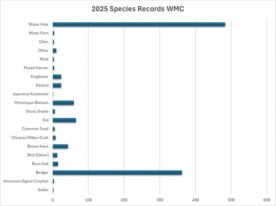 2025 Species Record WMC