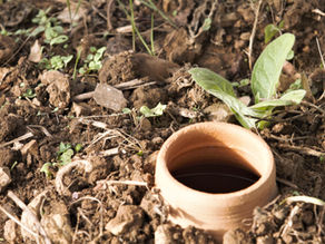 Bella Terra -- Avantages des Oyas ou Ollas