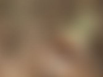 Bella Terra -- Avantages des Oyas ou Ollas