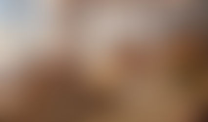 Шопинг на «Гастроферме»