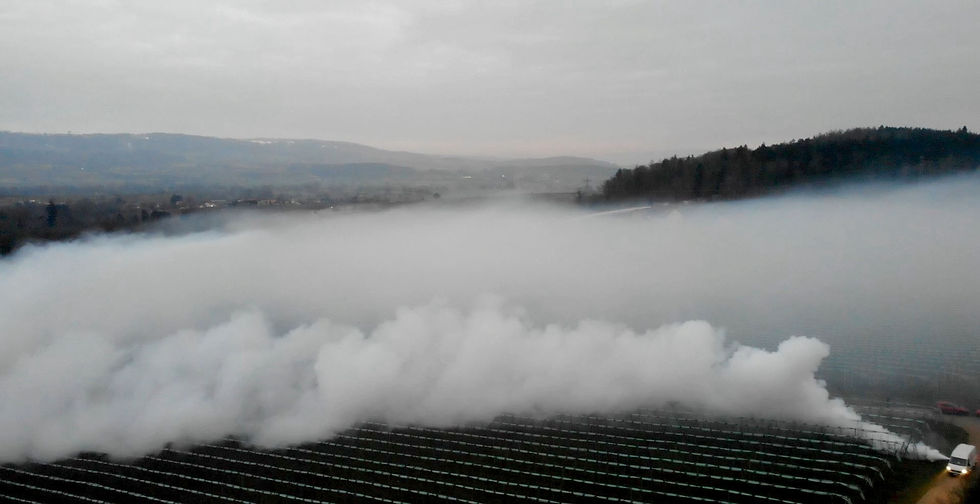 Forst landskape din duba.jpg