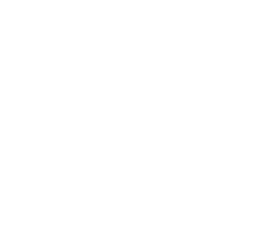 Logo pulsfog 55 Jahre white_edited.png