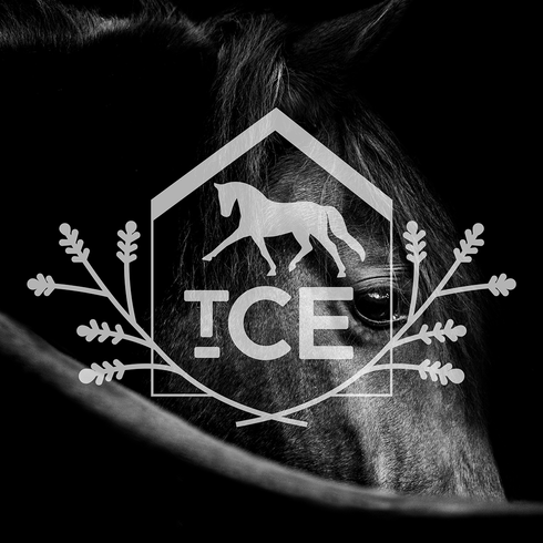 THE COTTAGE EQUINE