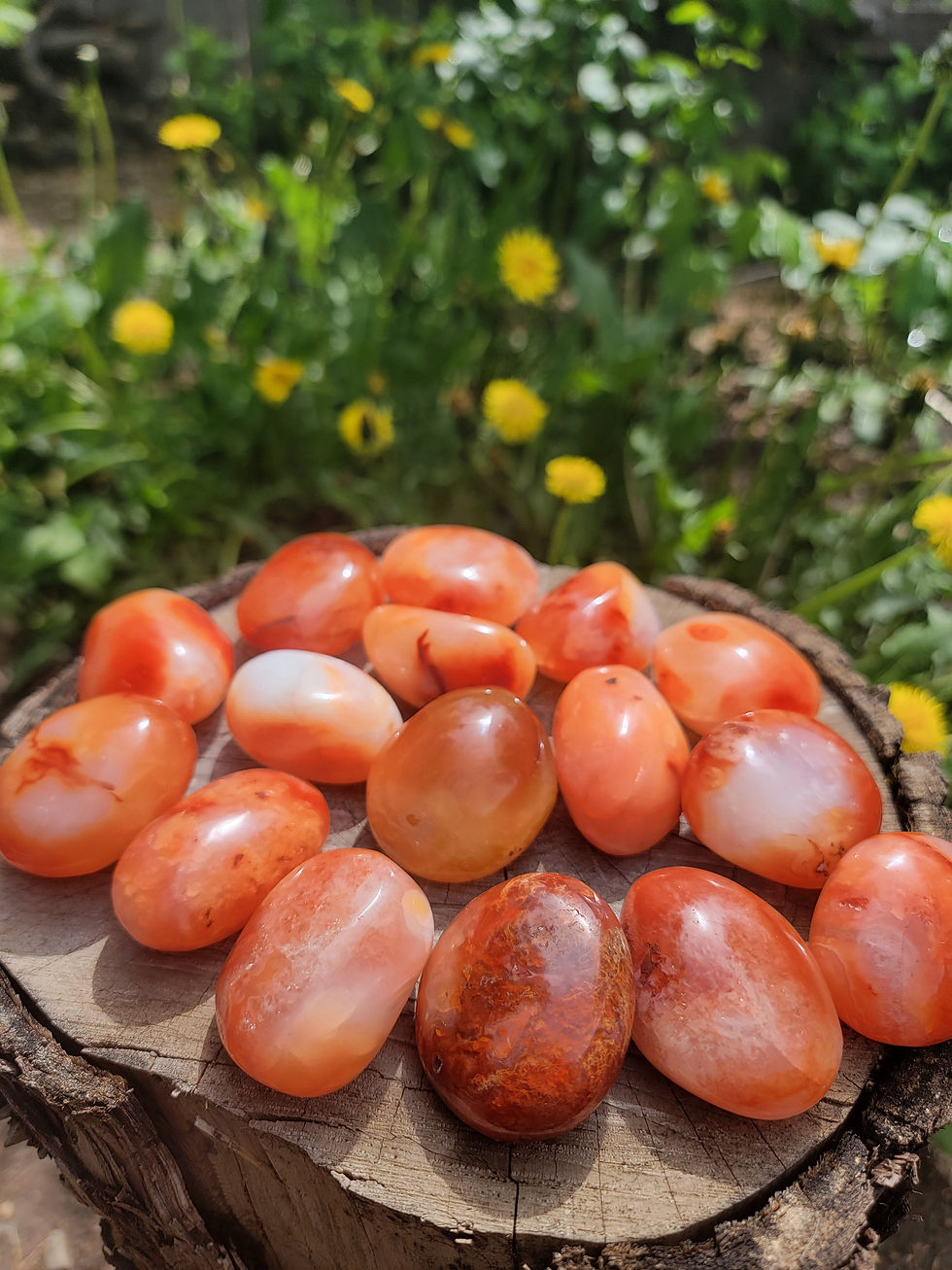 carnelian palm stones ethically sourced crystals