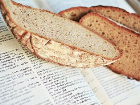 Seek Ye First Thanksgiving Daily Devotion: Daily Bread