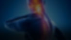 slider1.jpg