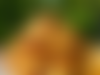 Keys Ham and Cheese Sliders (Large-Group Recipe) 