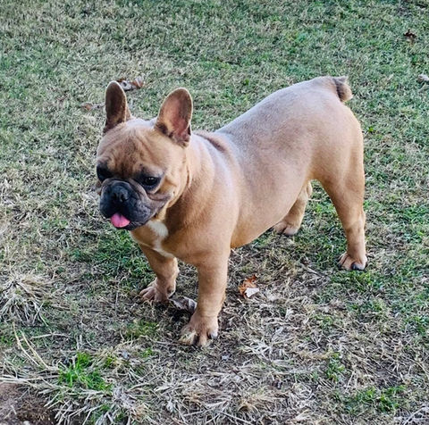 262781482_317804923681607_4670691480065869198_n - Copy.jpg