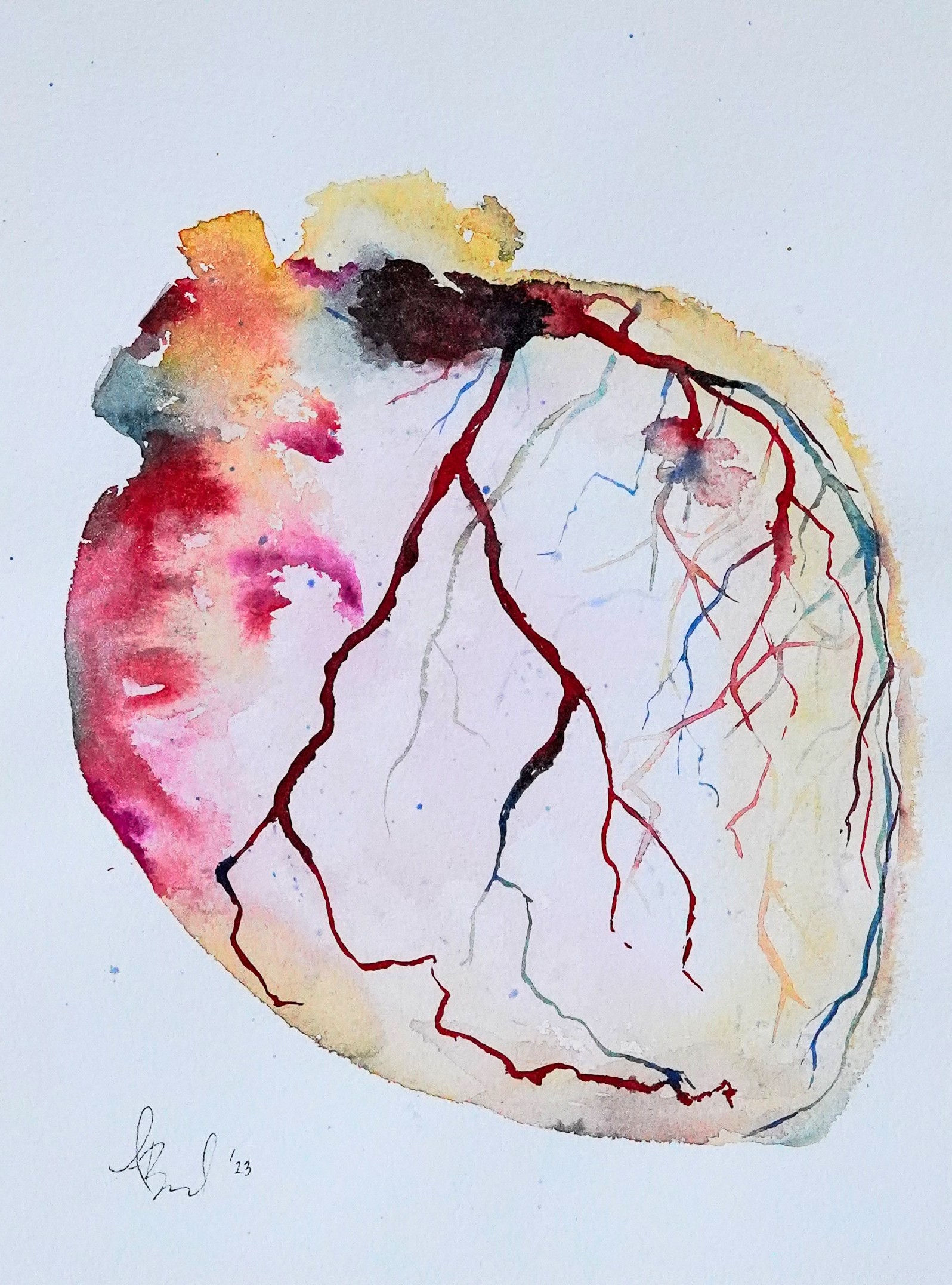 Anatomical Heart Watercolor