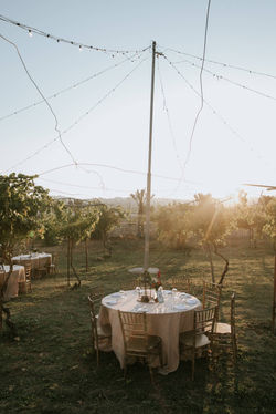 עיצוב חתונה