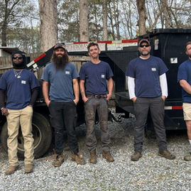 Why Hiring an Insured Tree Removal Service Matters — Protecting Your Property, Your Wallet, and Your Peace of Mind