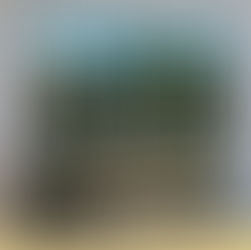 Energy-Saving Benefits of Residential and Commercial Window Film