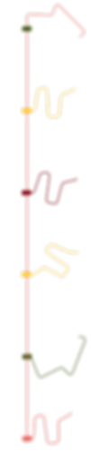 Group 1000004179.png