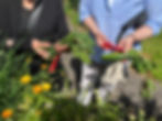 THE GARDEN PROJECT