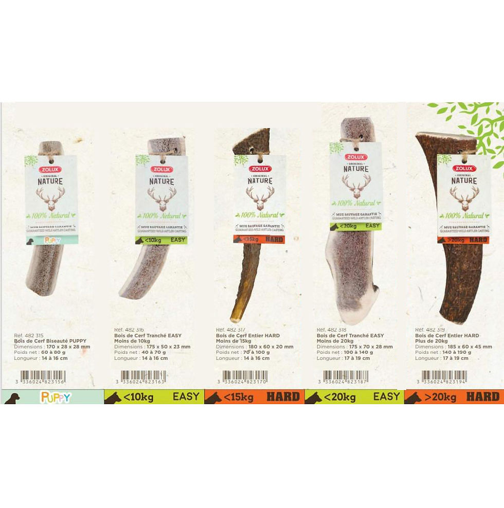 縮圖：法國ZOLUX 鹿角系列