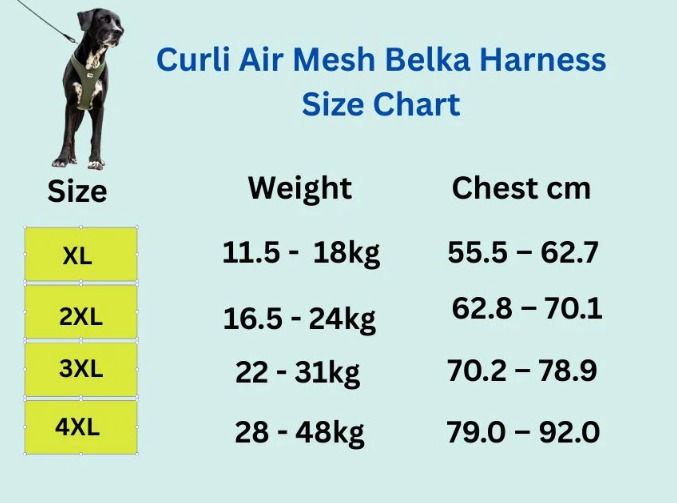 縮圖：瑞士Curli 3D剪裁多功能透氣胸帶大型犬專用(墨綠色)