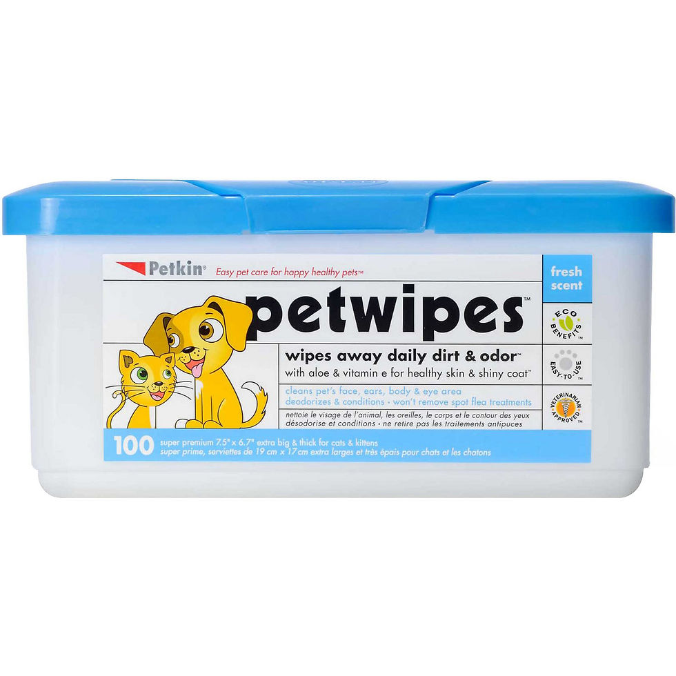 Petkin 100片家庭裝天然蘆薈潔身紙