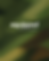 ATV Brand Guidelines (3).png