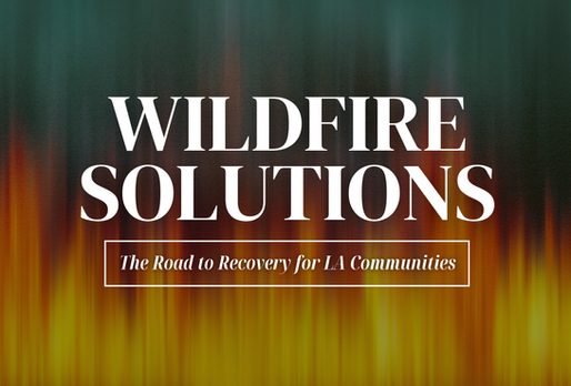 How Can Communities Rebuild After Devastating Wildfires?