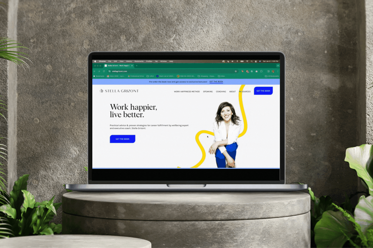 stella grizont walkthrough