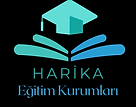mavi turkuaz eÄŸitim kurum okul kurs logo (1).png