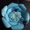 Miniatura: Flor maria