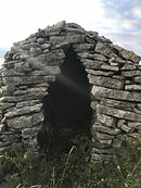 IMG_3810.jpeg