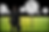 Schenk und Partnerpng