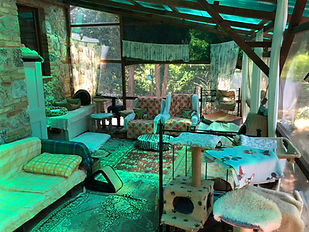 Veranda beim Haus Roland.jpeg