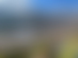 Valutazione Immobiliare a Recoaro Terme: Perché il prezzo giusto è la tua arma migliore