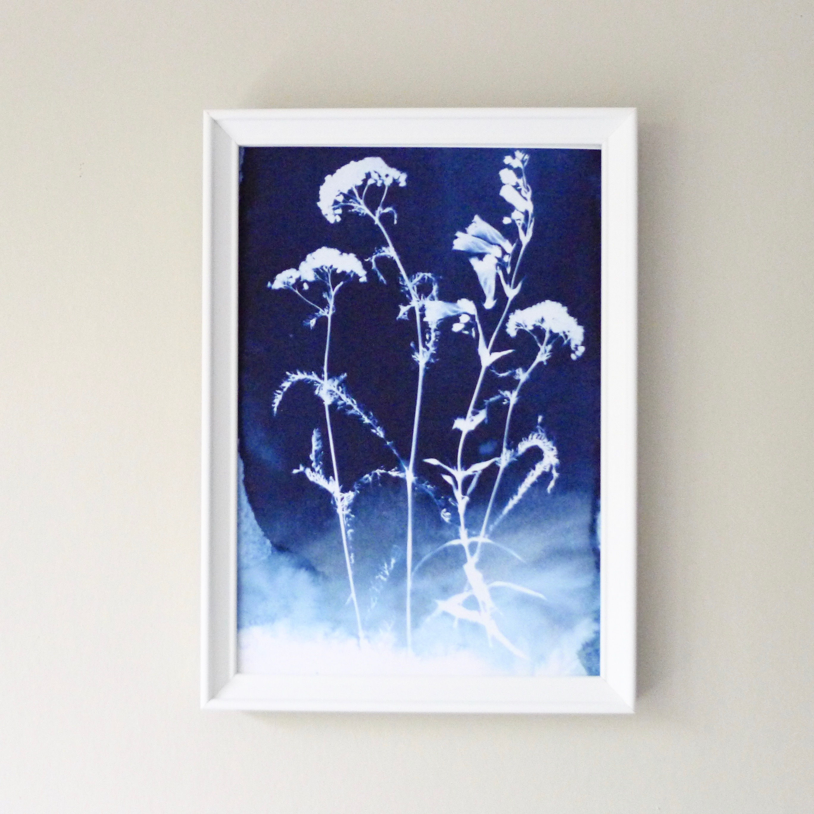 Print Cyanotype - Summer flowers