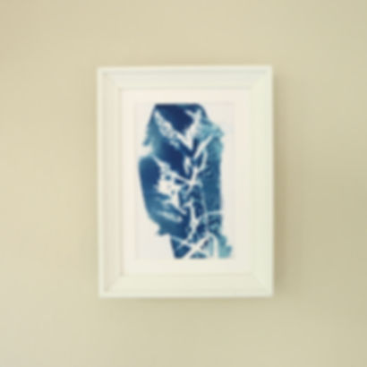 Original Cyanotype A6