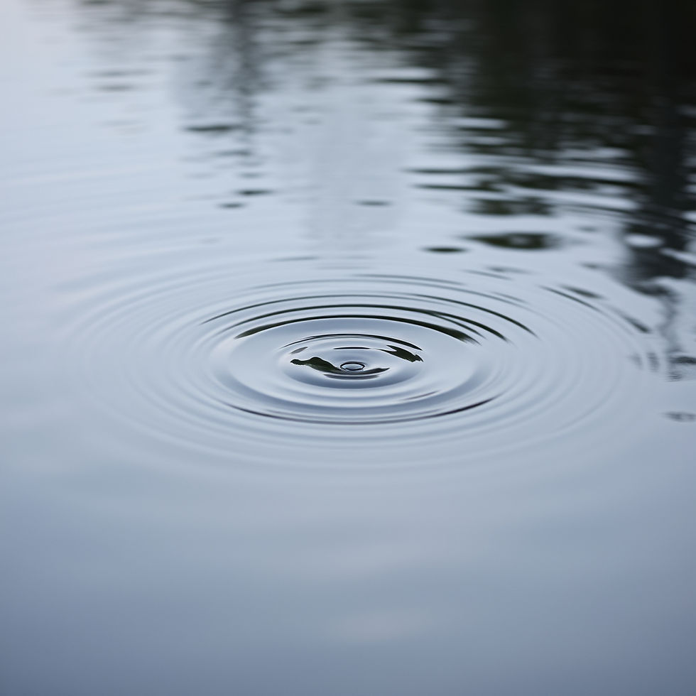 A gentle ripple disturbs the calm, embodying the essence of a moment's pause.